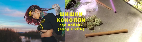 ПСИЛОЦИБИНОВЫЕ ГРИБЫ Елизово