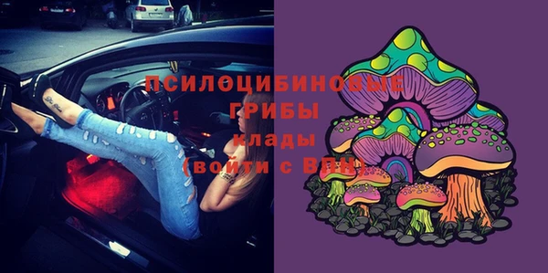 mdpv Елабуга