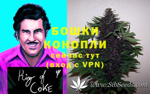 ПСИЛОЦИБИНОВЫЕ ГРИБЫ Елизово