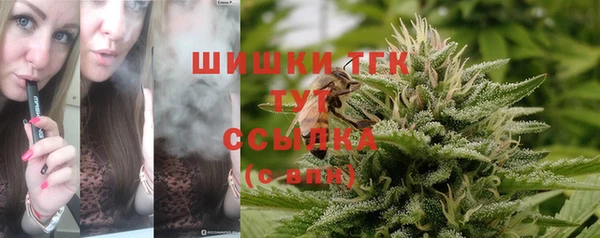 mdpv Елабуга