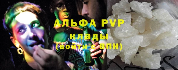 ПСИЛОЦИБИНОВЫЕ ГРИБЫ Елизово