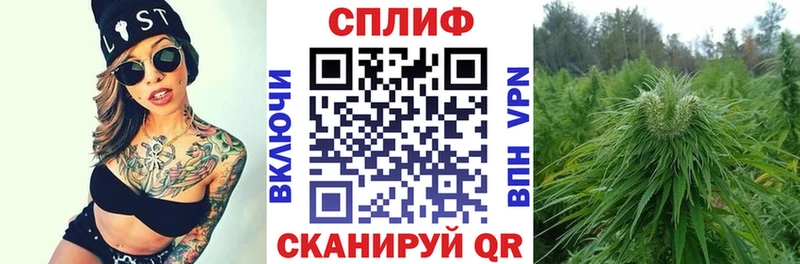 shop телеграм  Судак  Конопля ГИДРОПОН 